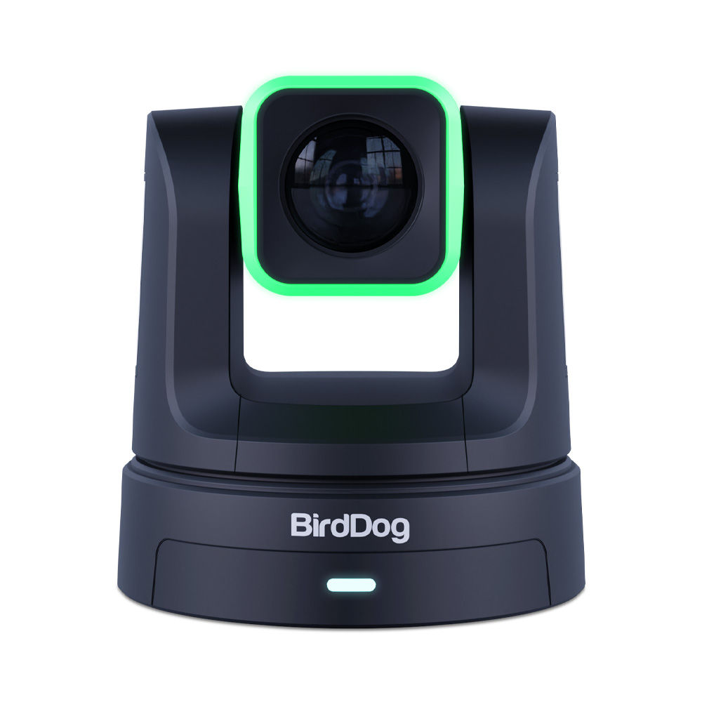 BirdDog - X5 Ultra 2160p (4K UHD) Zoom Kamera mit 20x Zoom (schwarz)